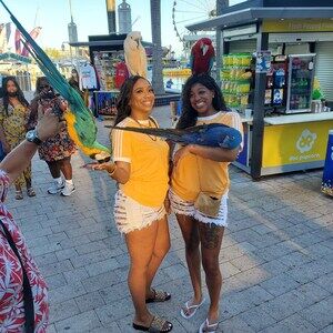 Meet your Posher, Pagne